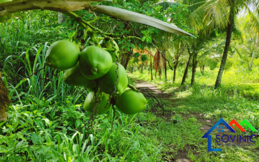 Finca de 4.3 manzana en JINOTEPE CARAZO