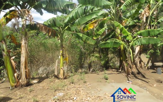 TERRENO EN VENTA EN TICUANTEPE
