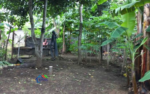TERRENO EN VENTA EN TICUANTEPE